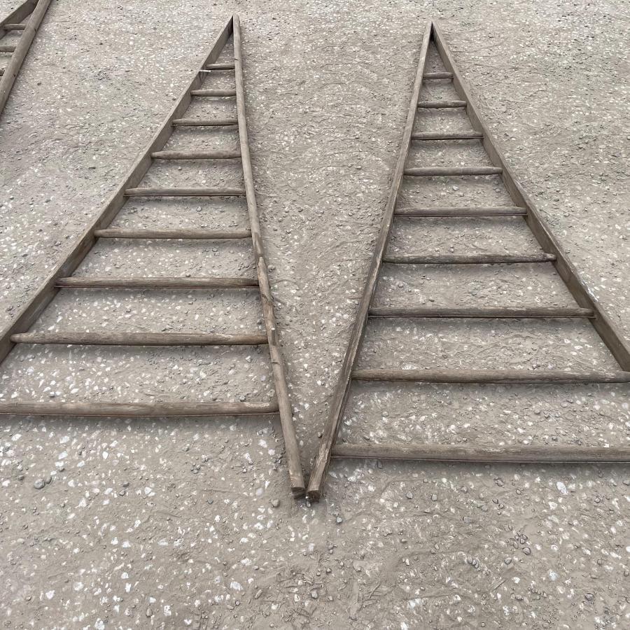 Vintage Rustic Fruit Picking Ladders | Garden | REF: VRFPL004