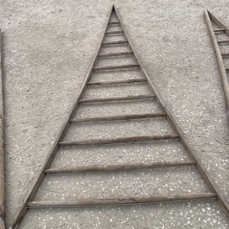 Vintage Rustic Fruit Picking Ladders | Garden